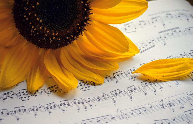 Live music concert